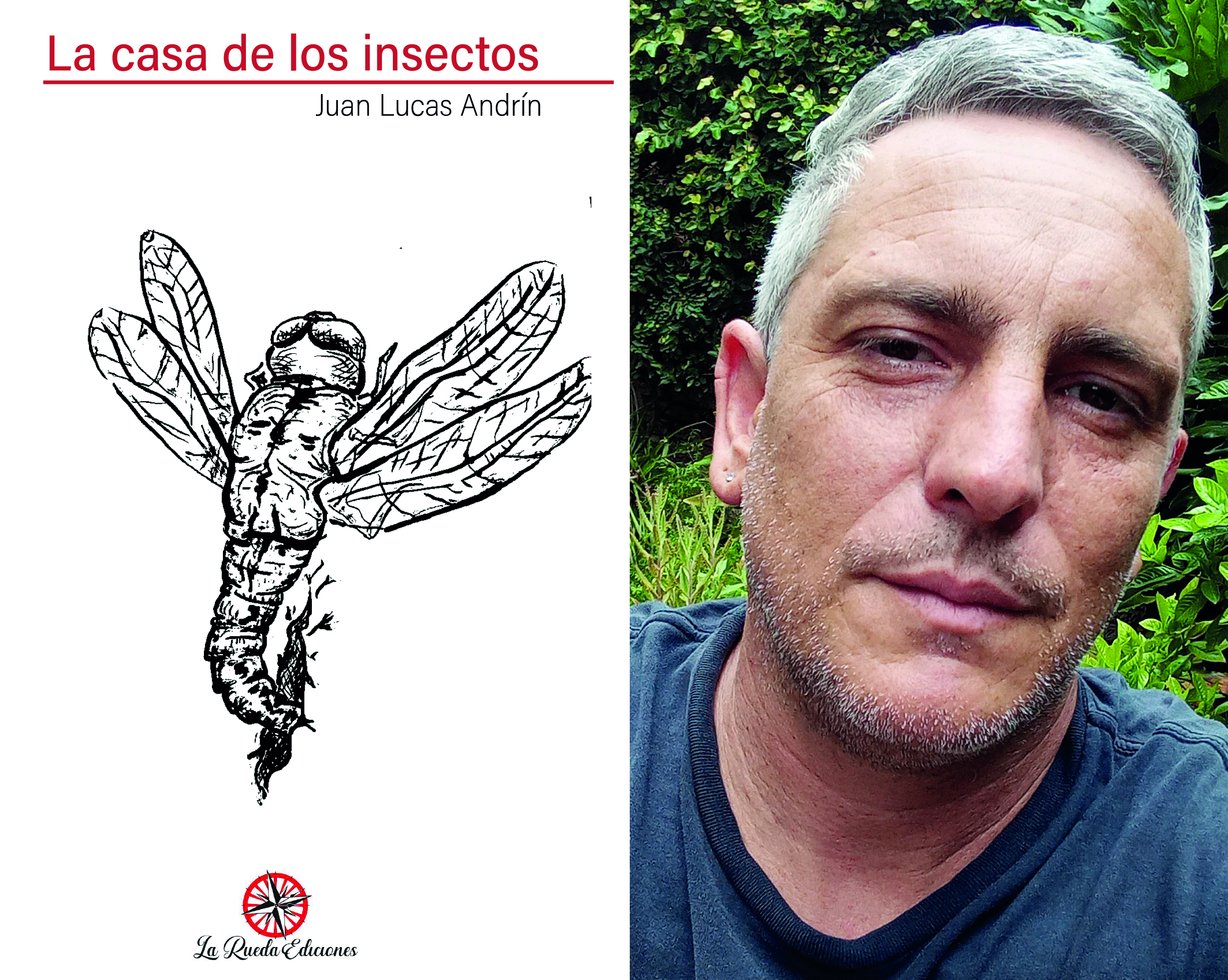 Visita Gratuita A La Casa De Los Insectos | European Heritage Days
