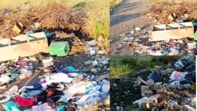 Amenaza sanitaria: el basural atrae una plaga de roedores que preocupa a las familias de la zona sur. (Fotos: ‘’Flash 25’’)