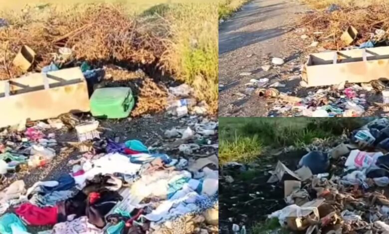 Amenaza sanitaria: el basural atrae una plaga de roedores que preocupa a las familias de la zona sur. (Fotos: ‘’Flash 25’’)