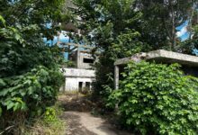 “No se puede vivir con esa cueva ahí, siempre pasa algo y mucha gente la ocupa durante la noche”, expresó una vecina que vive en calle Gil Medina.