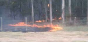 El siniestro en la estancia Estrella Federal demandó el esfuerzo conjunto de seis localidades vecinas (Foto: SRN Hoy)
