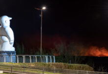 Una ciudad de cara al fuego y de espaldas a la prevención.
