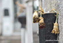 Ni las promesas de modernización ni el contrato por 30 años lograron que el cementerio deje de parecer una zona tétrica y abandonada. (Foto: Sandra Avalos).