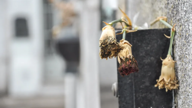 Ni las promesas de modernización ni el contrato por 30 años lograron que el cementerio deje de parecer una zona tétrica y abandonada. (Foto: Sandra Avalos).