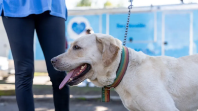 Última jornada: Mañana miércoles concluye la atención en la posta de calle Bolívar 2083.
