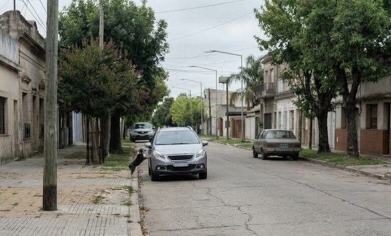Súplica desesperada: El momento exacto en que el animal se apoya en el auto pidiendo que no lo dejen solo.