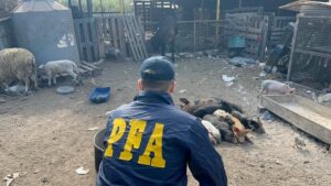 Rescate social: El lugar donde vivía la familia expuesta a los químicos; un cuadro de vulnerabilidad extrema que acompañaba al delito ambiental.