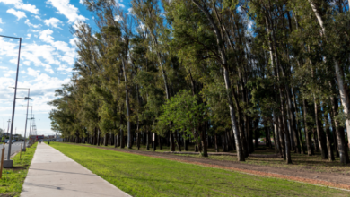 Fenómeno estacional: El ingreso de aire polar sobre el norte bonaerense genera condiciones de baja humedad y alta visibilidad.