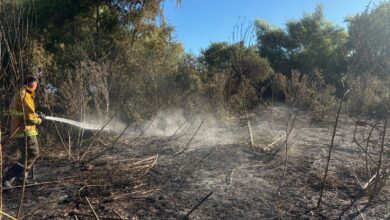 Ataque directo: Los bomberos debieron trabajar con herramientas de zapa sobre el terreno para evitar el rebrote de las llamas en el sotobosque.