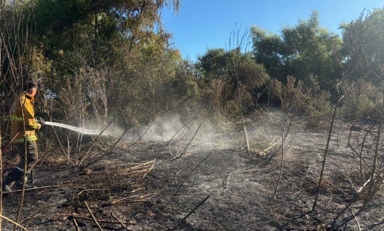 Ataque directo: Los bomberos debieron trabajar con herramientas de zapa sobre el terreno para evitar el rebrote de las llamas en el sotobosque.