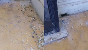 Foco infeccioso: El patio interno del San Felipe, acumulando meses de desechos de palomas a metros de las salas de atención.