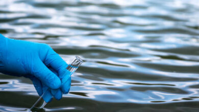 Prueba irrefutable: Los informes de la Universidad de La Plata, con fecha de marzo de 2026, confirman que los químicos vinculados al pasivo industrial de Atanor ya están en el sistema de distribución.