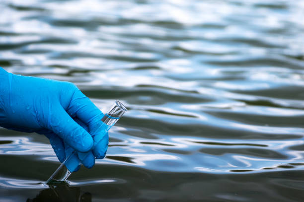 Prueba irrefutable: Los informes de la Universidad de La Plata, con fecha de marzo de 2026, confirman que los químicos vinculados al pasivo industrial de Atanor ya están en el sistema de distribución.