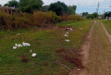 Abandono: La calle San Juan muestra el avance de las malezas sobre la calzada por falta de mantenimiento