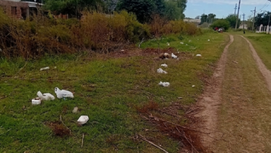 Abandono: La calle San Juan muestra el avance de las malezas sobre la calzada por falta de mantenimiento