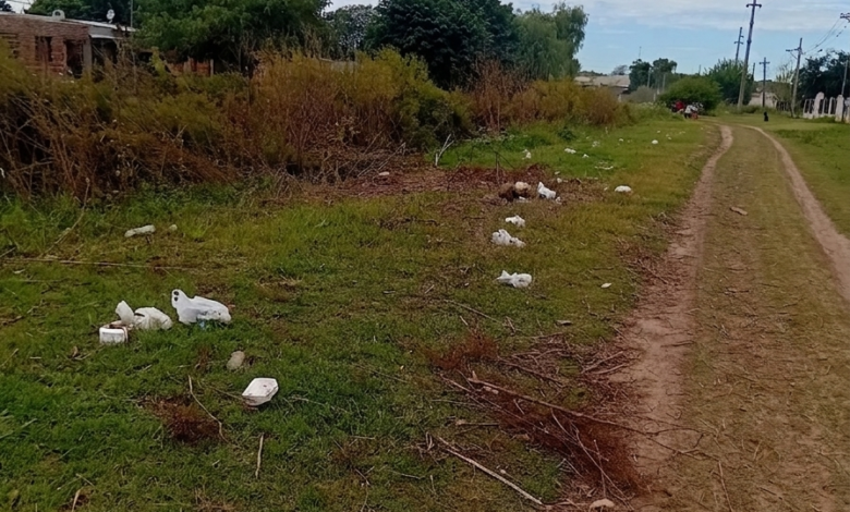 Abandono: La calle San Juan muestra el avance de las malezas sobre la calzada por falta de mantenimiento