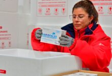 Contexto epidemiológico: La nueva cepa detectada en el exterior motivó el adelantamiento de la campaña en toda la provincia.