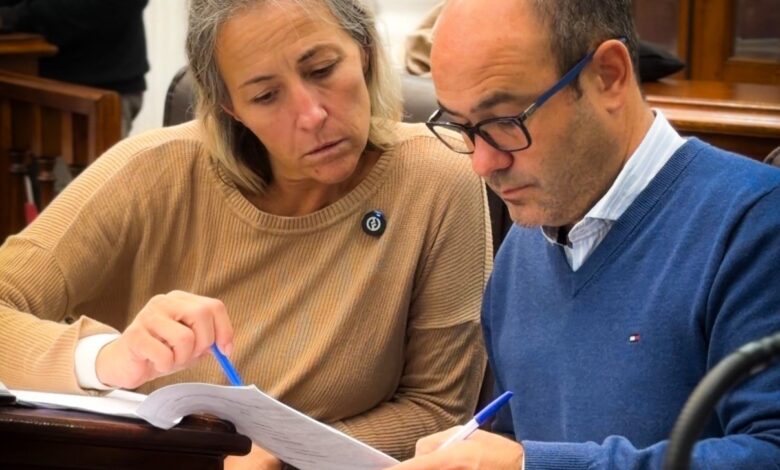 Mariana Aseff y Federico Chouhy, del bloque Alianza La Libertad Avanza, rechazaron la Rendición de Cuentas.