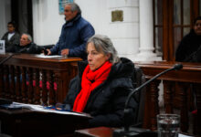 “Hay un problema grave: el aumento impacta en las familias, en los trabajadores y en la actividad cotidiana de la ciudad”, expresó Aseff durante el debate.