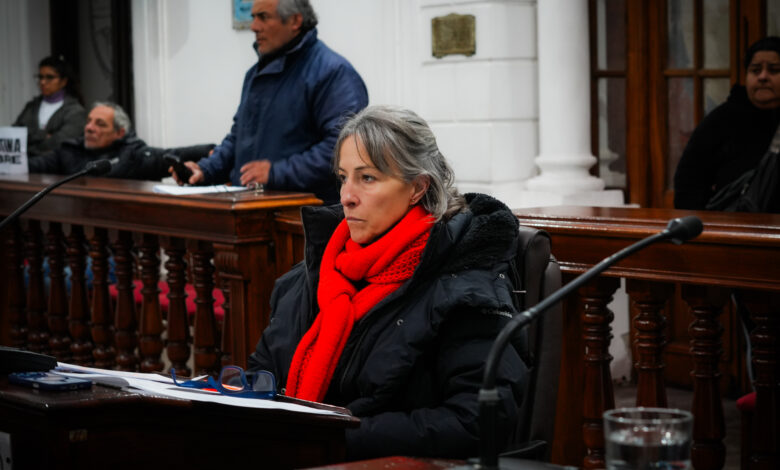 “Hay un problema grave: el aumento impacta en las familias, en los trabajadores y en la actividad cotidiana de la ciudad”, expresó Aseff durante el debate.