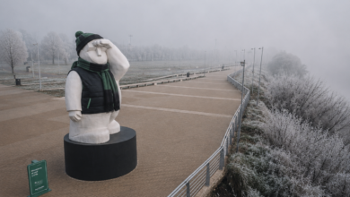 El informe meteorológico detalla las advertencias por heladas y las precauciones necesarias para mitigar el impacto del aire polar en todo el distrito. Foto: Ilustración con Inteligencia artificial.