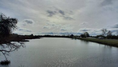 Tras un lunes con altas probabilidades de precipitaciones, se espera que el aire frío se intensifique progresivamente hacia el final de la semana. Foto: Godoy Sofía